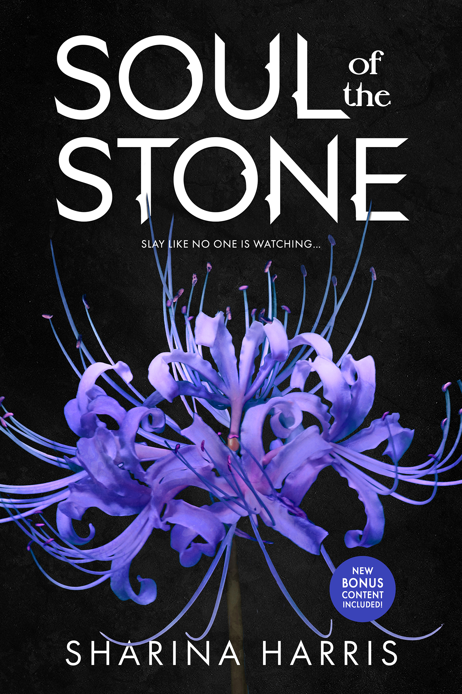 Soul of the Stone